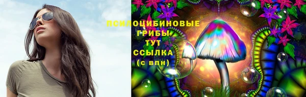 амф Алексеевка