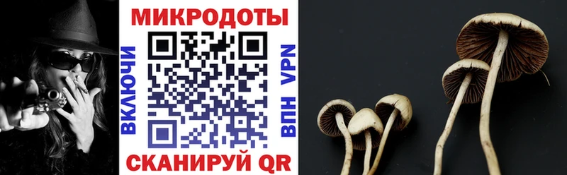 Галлюциногенные грибы Cubensis  shop официальный сайт  Ухта  МЕГА как зайти 